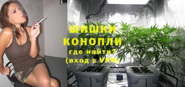сатива Нефтегорск