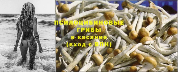 сатива Нефтегорск